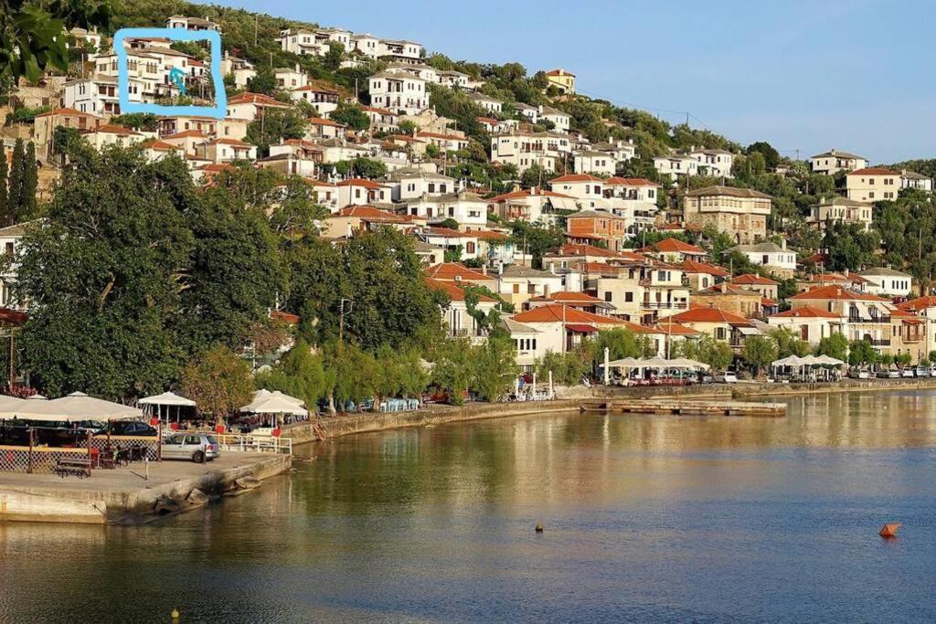 Willa Mesonisi Με Υπέροχη Θέα Στον Παγασητικό!! Afissos Zewnętrze zdjęcie