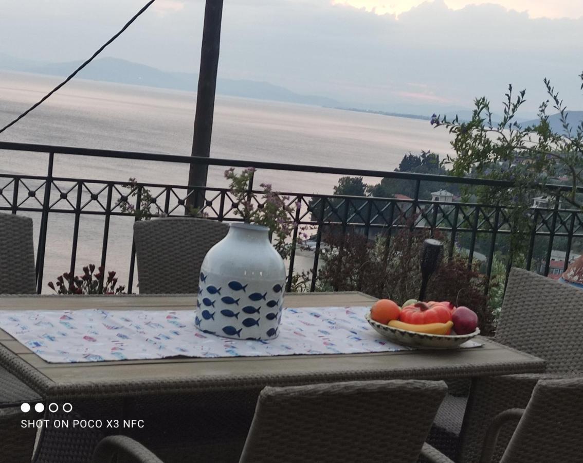 Willa Mesonisi Με Υπέροχη Θέα Στον Παγασητικό!! Afissos Zewnętrze zdjęcie